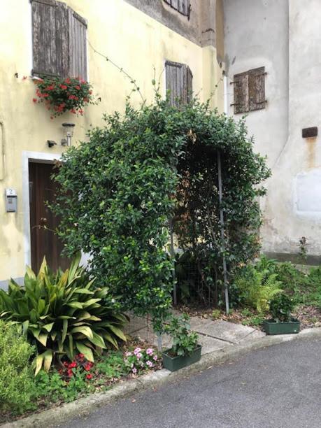 Il Casale del Miele Bed and Breakfast Fraforeano Esterno foto